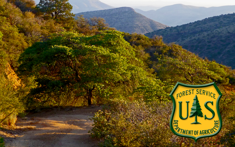 Picture of the Tonto National forest and the U.S. Forest Service Logo